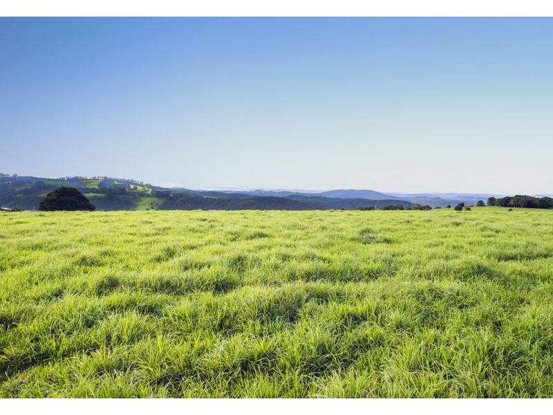 5518 Waterfall Way, Fernbrook, Dorrigo NSW 2453