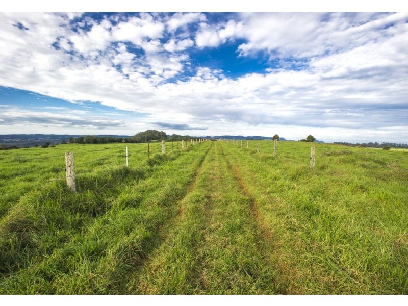 5518 Waterfall Way, Fernbrook, Dorrigo NSW 2453