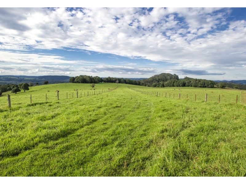 5518 Waterfall Way, Fernbrook, Dorrigo NSW 2453