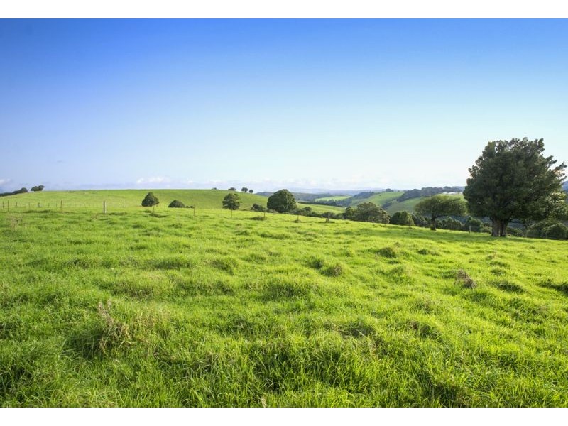 5518 Waterfall Way, Fernbrook, Dorrigo NSW 2453