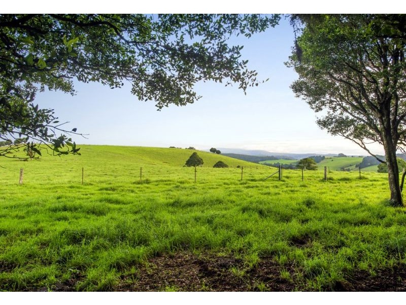 5518 Waterfall Way, Fernbrook, Dorrigo NSW 2453