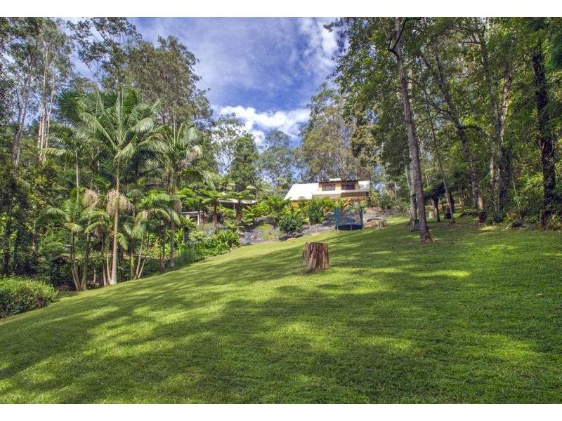 720 Kalang Road, Kalang, Bellingen NSW 2454