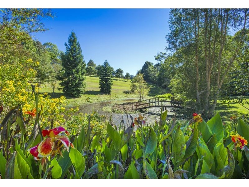 28 Lyon Street, Bellingen NSW 2454