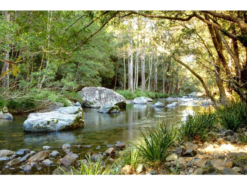 45 Little North Arm Road, Thora, Bellingen NSW 2454