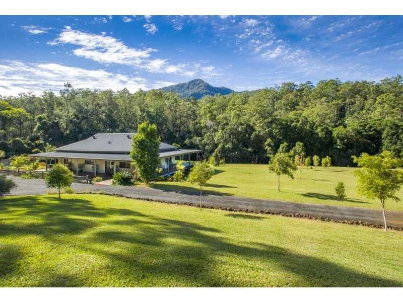45 Little North Arm Road, Thora, Bellingen NSW 2454