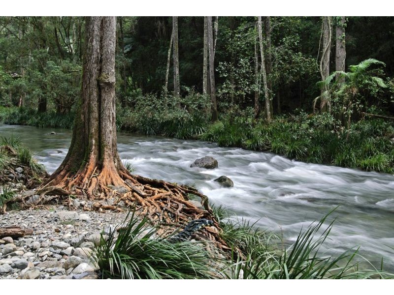 45 Little North Arm Road, Thora, Bellingen NSW 2454