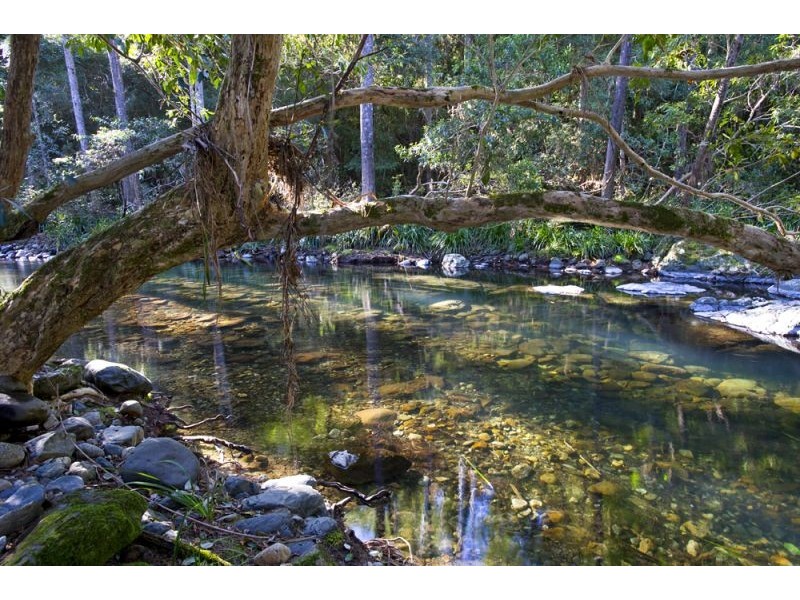 45 Little North Arm Road, Thora, Bellingen NSW 2454