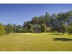 45 Little North Arm Road, Thora, Bellingen NSW 2454