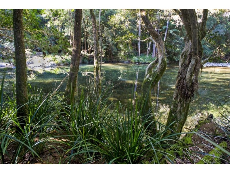 45 Little North Arm Road, Thora, Bellingen NSW 2454