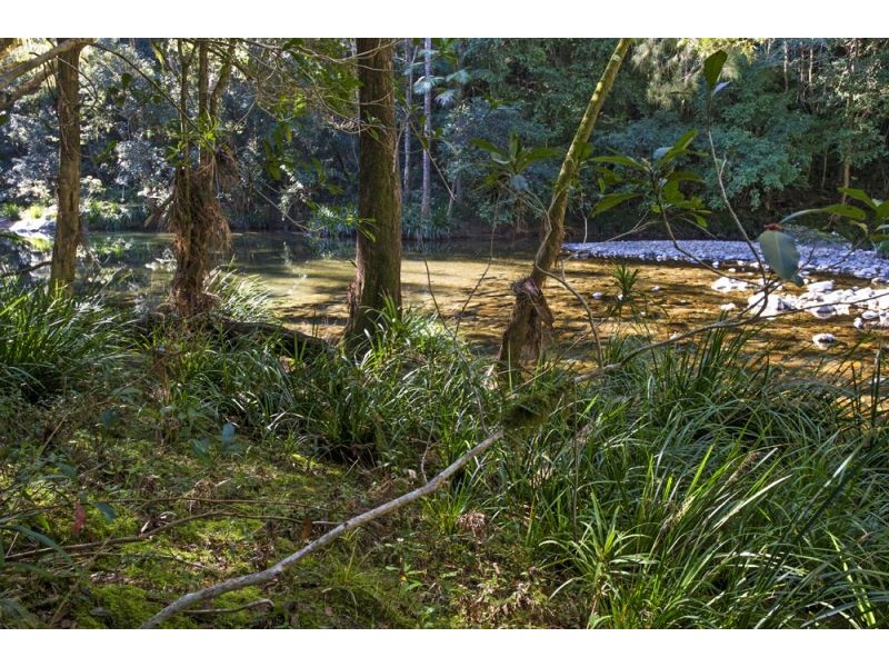 45 Little North Arm Road, Thora, Bellingen NSW 2454