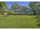 229 Short Cut Road, Bellingen NSW 2454