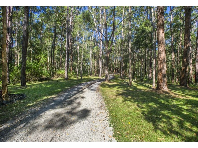 229 Short Cut Road, Bellingen NSW 2454