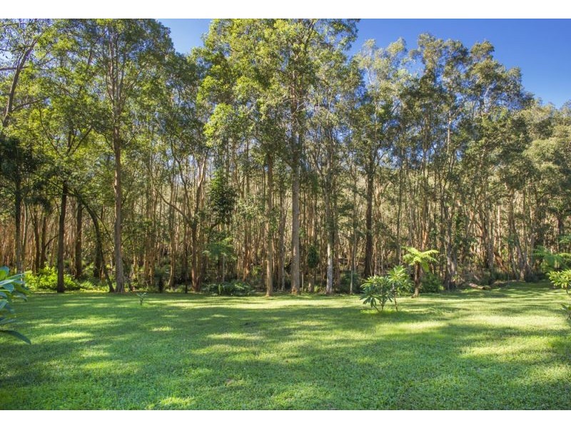 229 Short Cut Road, Bellingen NSW 2454