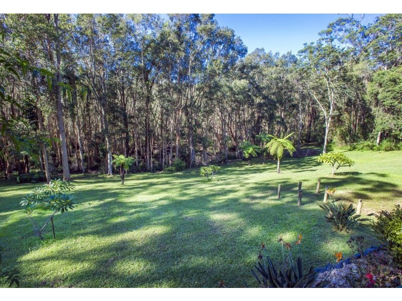 229 Short Cut Road, Bellingen NSW 2454