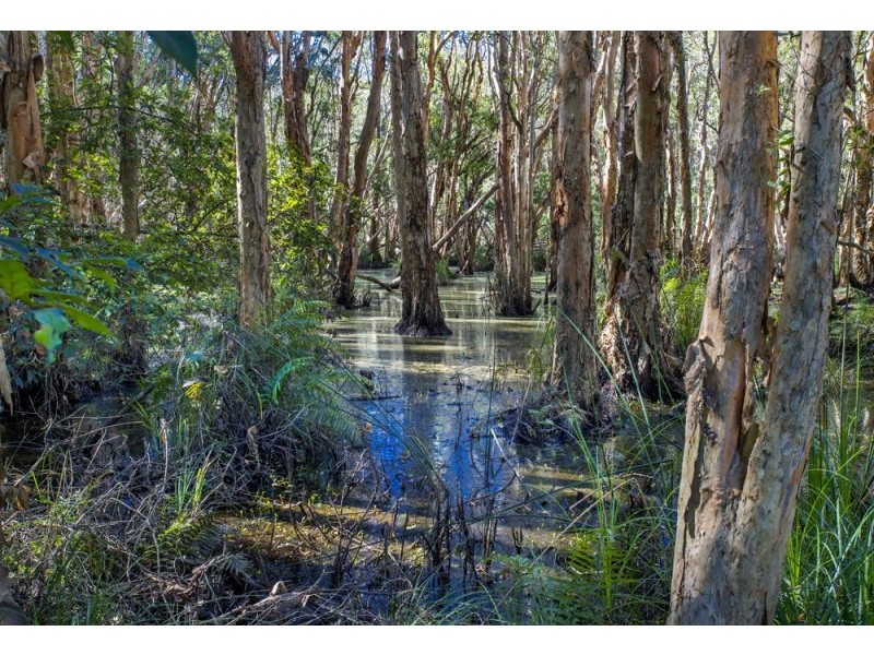 229 Short Cut Road, Bellingen NSW 2454