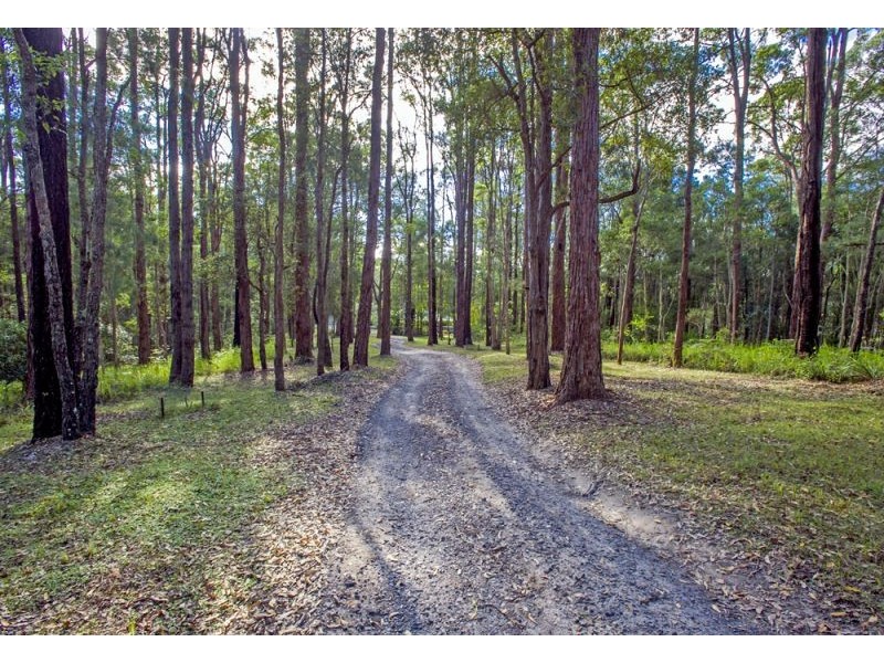 229 Short Cut Road, Bellingen NSW 2454