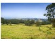 183 Muldiva Road, Dorrigo NSW 2453