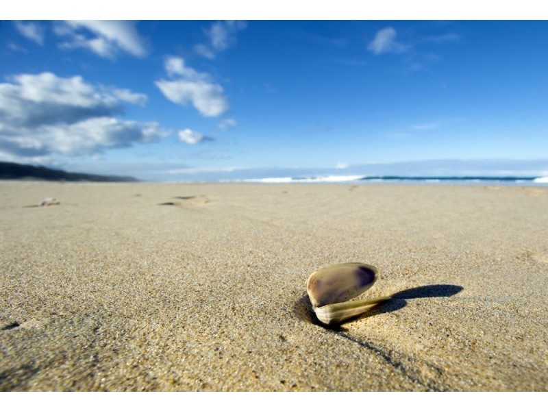 7 Azalea Avenue, Mylestom NSW 2454