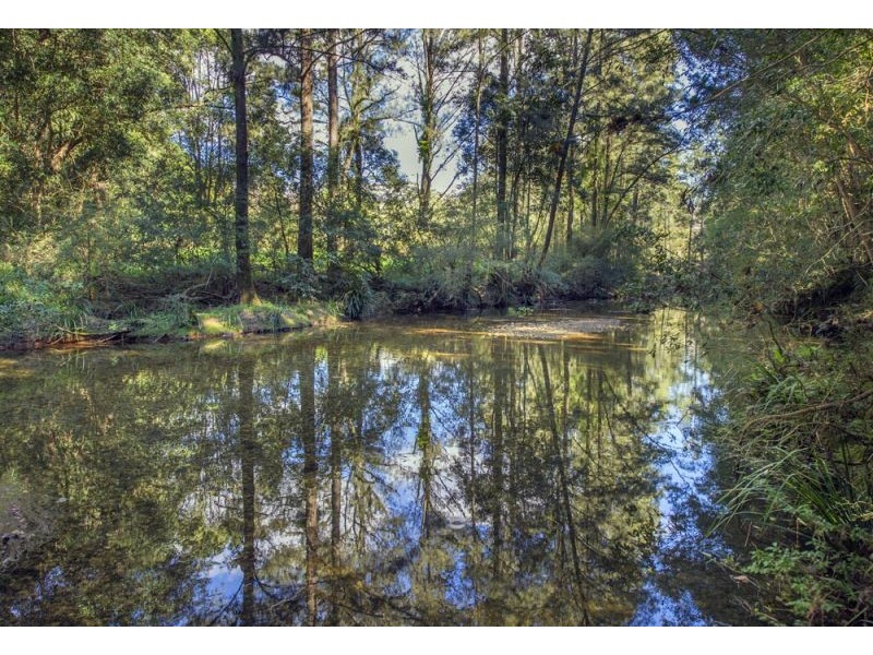 1562 Kalang Road, Bellingen NSW 2454