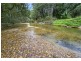 1562 Kalang Road, Bellingen NSW 2454