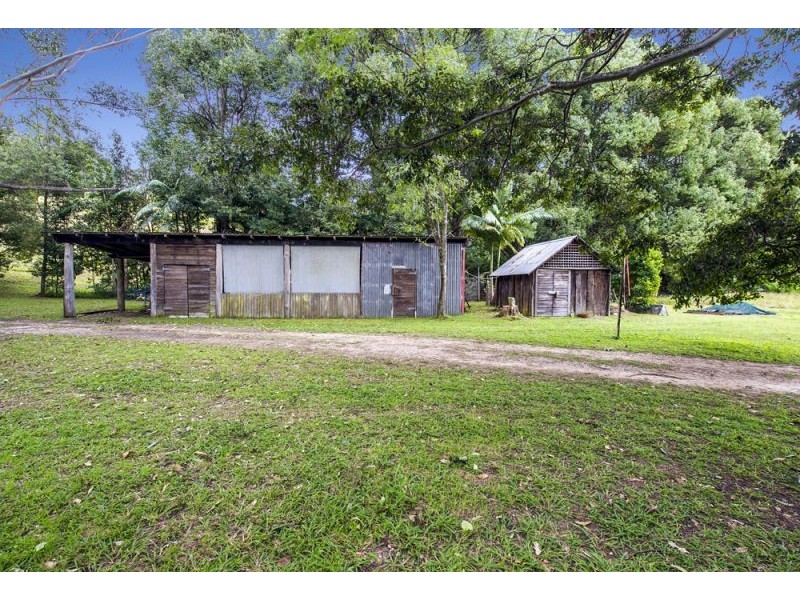 1562 Kalang Road, Bellingen NSW 2454
