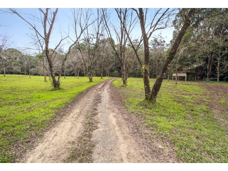 1562 Kalang Road, Bellingen NSW 2454