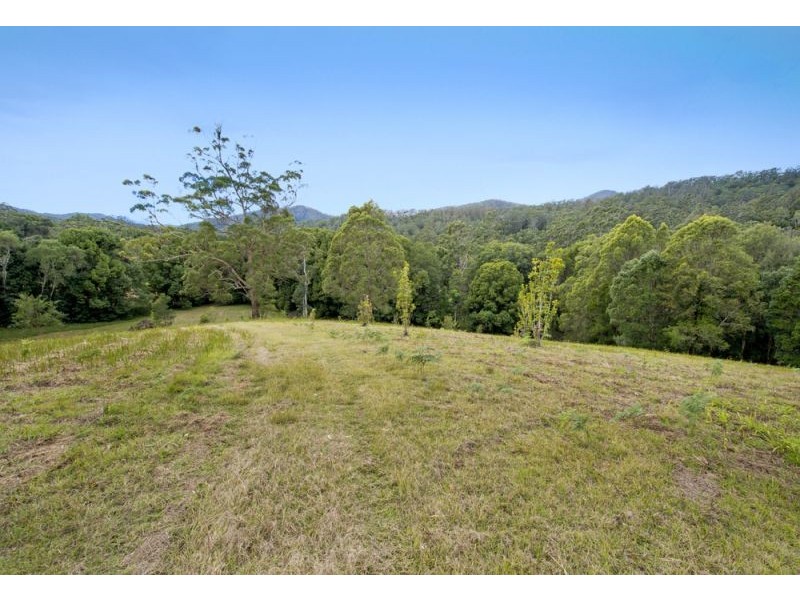 1562 Kalang Road, Bellingen NSW 2454