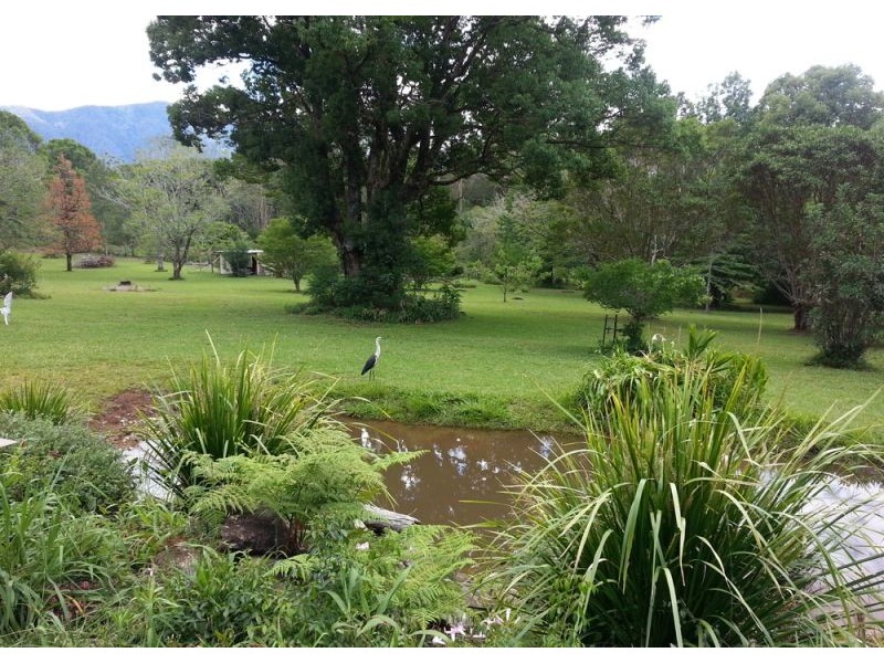 Bellingen NSW 2454