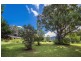 Bellingen NSW 2454