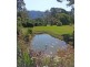 Bellingen NSW 2454