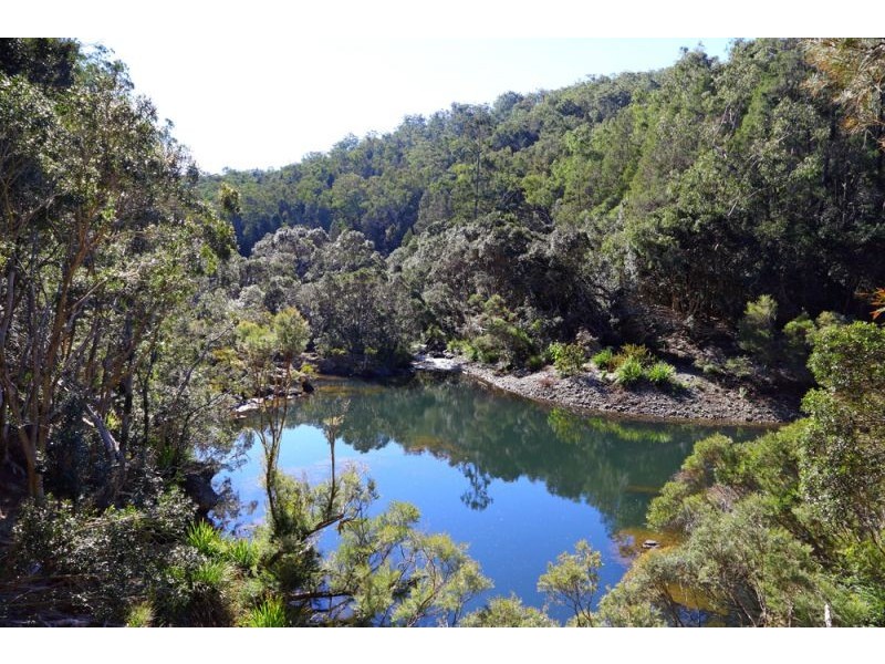 1318 Lower Bielsdown Road, Dorrigo NSW 2453