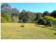1318 Lower Bielsdown Road, Dorrigo NSW 2453