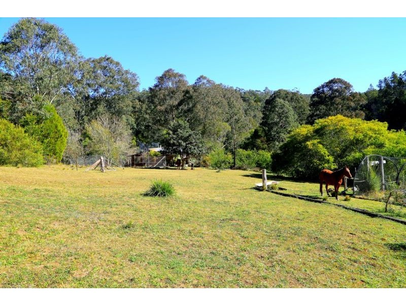 1318 Lower Bielsdown Road, Dorrigo NSW 2453