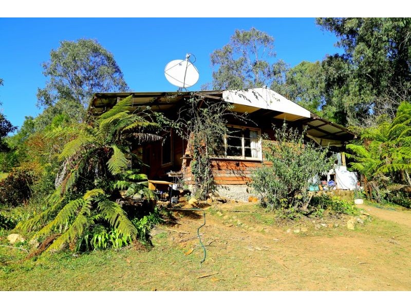 1318 Lower Bielsdown Road, Dorrigo NSW 2453