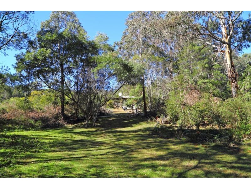 1318 Lower Bielsdown Road, Dorrigo NSW 2453