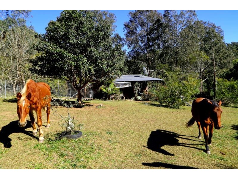 1318 Lower Bielsdown Road, Dorrigo NSW 2453