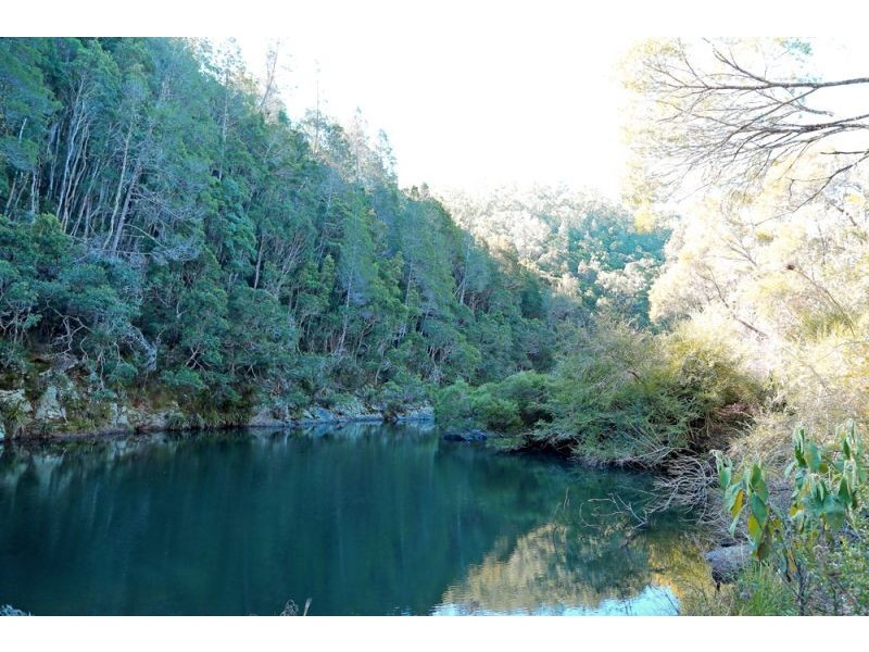 1318 Lower Bielsdown Road, Dorrigo NSW 2453