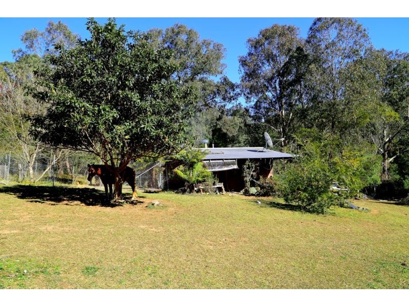 1318 Lower Bielsdown Road, Dorrigo NSW 2453
