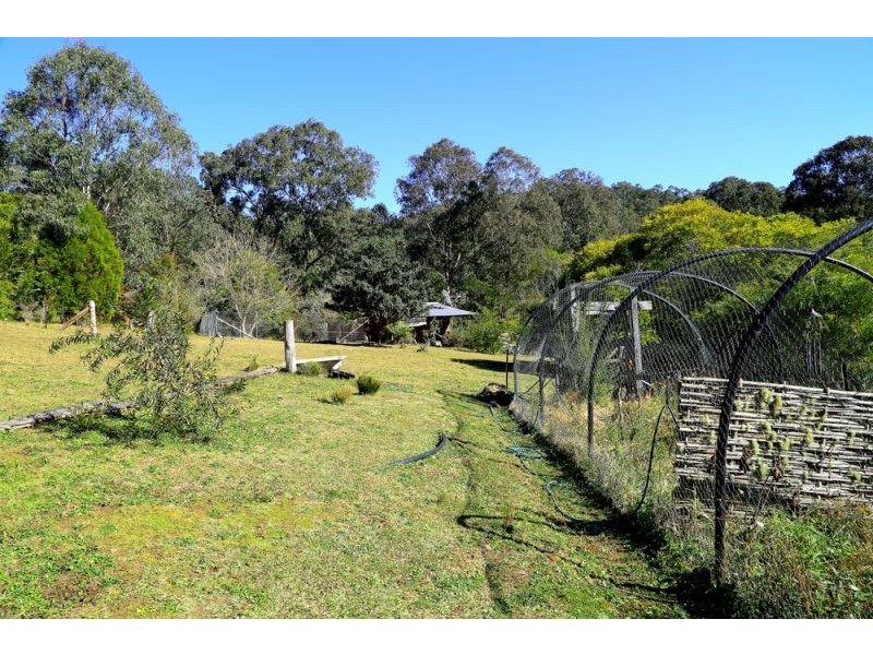 1318 Lower Bielsdown Road, Dorrigo NSW 2453