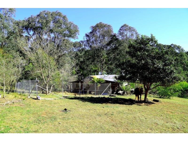 1318 Lower Bielsdown Road, Dorrigo NSW 2453