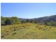 1318 Lower Bielsdown Road, Dorrigo NSW 2453