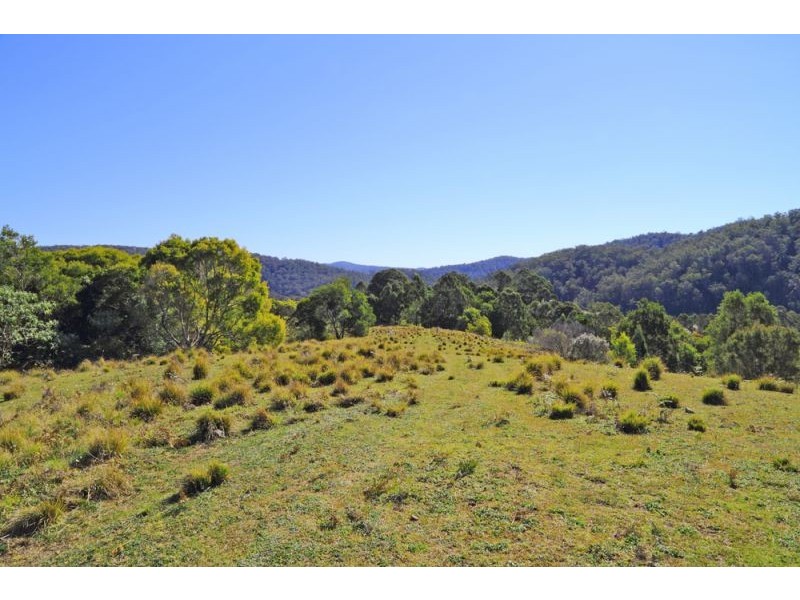 1318 Lower Bielsdown Road, Dorrigo NSW 2453