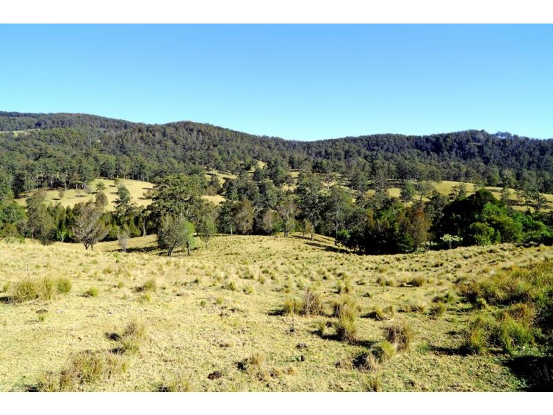 1318 Lower Bielsdown Road, Dorrigo NSW 2453