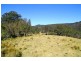 1318 Lower Bielsdown Road, Dorrigo NSW 2453