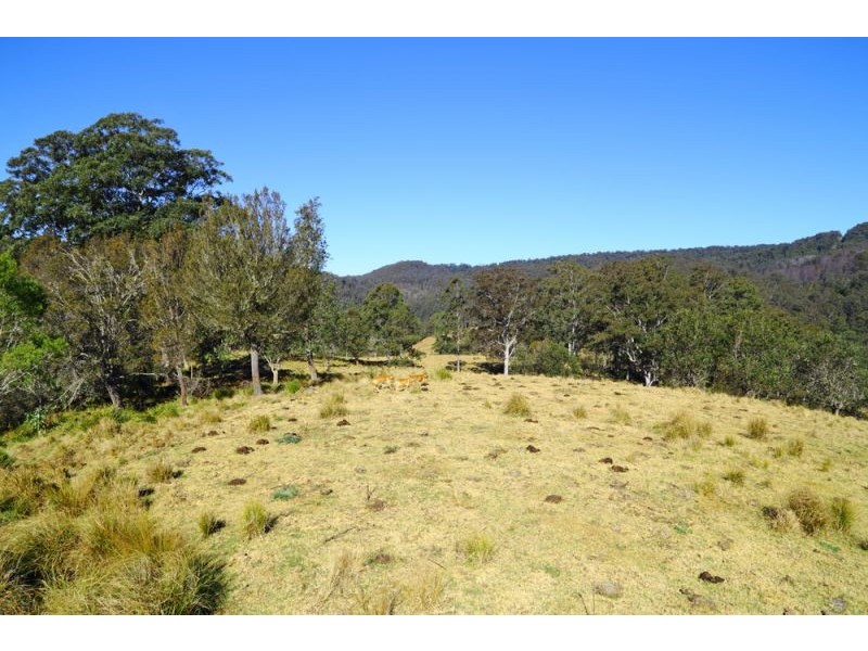 1318 Lower Bielsdown Road, Dorrigo NSW 2453
