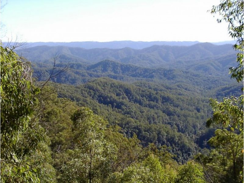 1411 Kalang Road, Bellingen NSW 2454