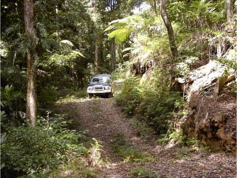1411 Kalang Road, Bellingen NSW 2454