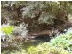 1411 Kalang Road, Bellingen NSW 2454