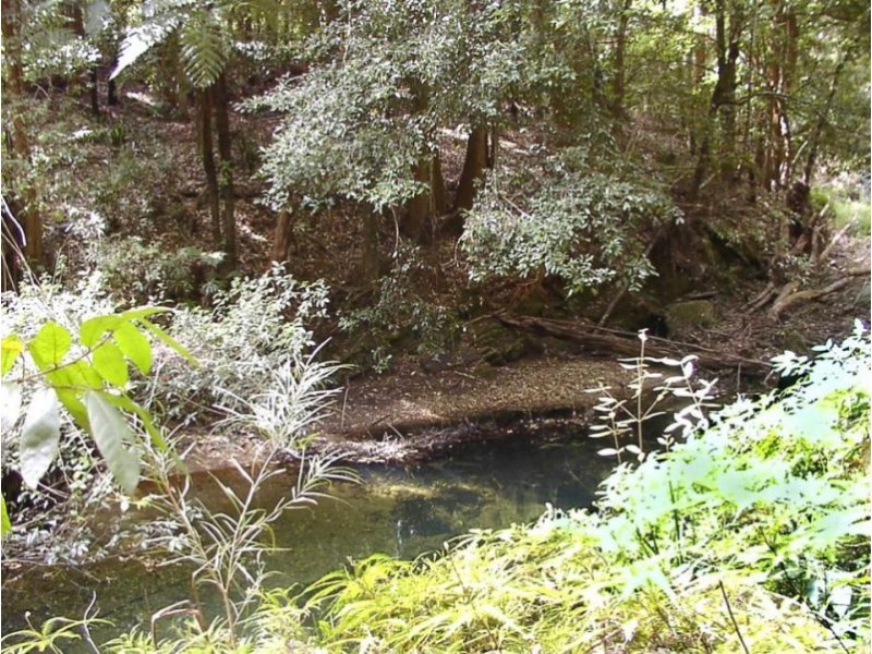 1411 Kalang Road, Bellingen NSW 2454