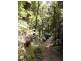 1411 Kalang Road, Bellingen NSW 2454